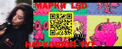 гашик Ирбит
